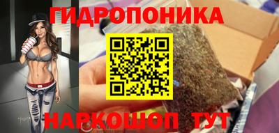 сатива Кизилюрт
