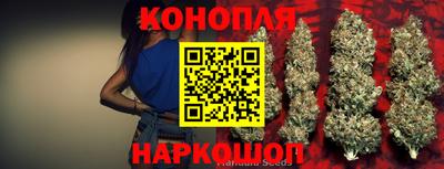 сатива Кизилюрт